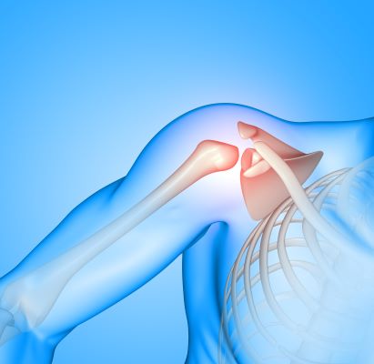 ortho Orthopedic Surgery